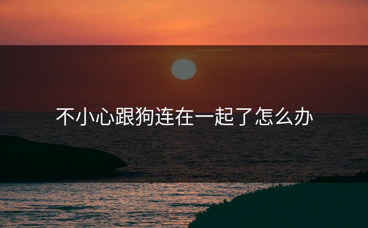不小心跟狗连在一起了怎么办