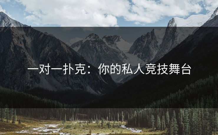 一对一扑克：你的私人竞技舞台