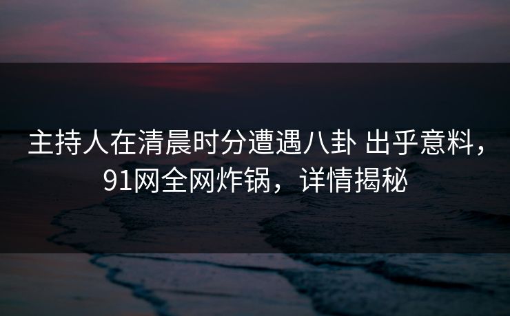主持人在清晨时分遭遇八卦 出乎意料，91网全网炸锅，详情揭秘