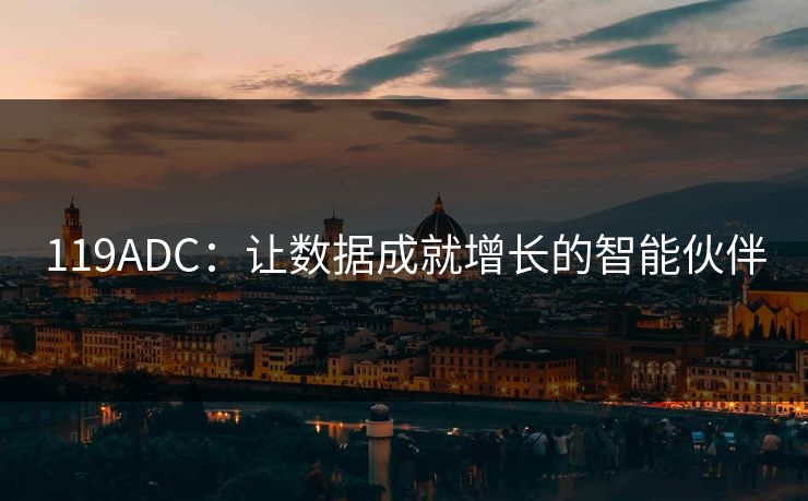 119ADC:让数据成就增长的智能伙伴 119ADC:让数据成就增长的智能伙伴